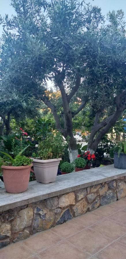 Emborios Petroula Apartments II מראה חיצוני תמונה