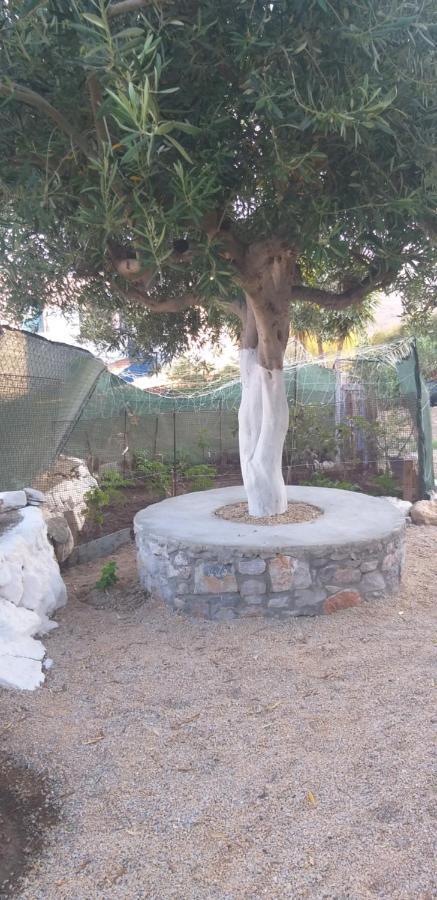 Emborios Petroula Apartments II מראה חיצוני תמונה